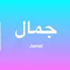 Jamal Hayat - @jamalhayat19 - TikTok