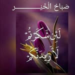 jamalhayat - @jamalhayat112 - Instagram