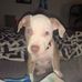 Jamal Hayes - Facebook
