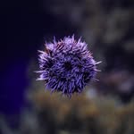 Jamal_headvar_ - @jamal_headvar_7010 - Instagram