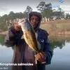 jamal hinton - @jamalhinton0 - TikTok