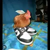 これ jdotこれ - @jamalhunt83 - TikTok