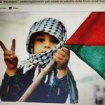 Jamal Abdel Aziz Hussein - @_jamal.hussein_ - Instagram
