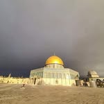 Jamal Jaber - @jamaljabera - Instagram