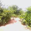 Jamal Macalin - @jamal.macalin - TikTok