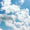 jamal.mitchell - @jamal.mitchell - TikTok