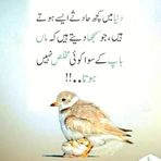 Jamal Rasool - Facebook