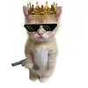Jamal Rice - @jamal.rice67 - TikTok