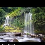 Jamal Shareef - @jamalshareef4 - Instagram