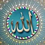 Jamal Shareef Mohd - @jamalshareefmohd - Instagram