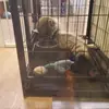 Jamald Sharp - @jamald.sharp - TikTok