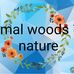 Jamal woods nature - Facebook