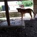 Jamar Cox - Facebook