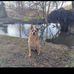 George Jamar - Facebook