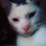Jamar graham - @jamargraham17 - Instagram