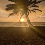 Jamar Henry - @jamarhenry390 - Instagram