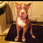 Jamar Stephens - @deh_dont_know - Instagram
