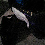 Jamari Robinson - @nextsteph23 - Instagram