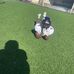 Jamari Robinson - Facebook