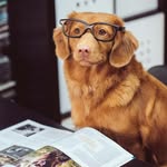 @jamarionhill139 - Instagram