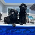 Jamee Smith - @ck_diesel_all_fueled_up - Instagram