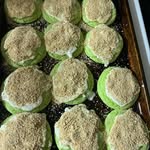 Jameka Wright - @cookies_by_meka - Instagram