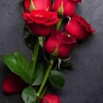 Jamel Ahmed - @jamelahmed156 - Instagram