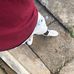 Jamal Flowers - Facebook