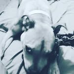 Jamel Love - @jaefbby02 - Instagram