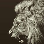 get _10000_fans - @jamelroberts1014 - Instagram