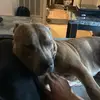 Jamell - @jamell.johnson0 - TikTok