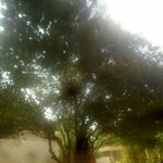 James abdallah - @jamesabdallah5 - Instagram