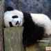 James Ebear - Facebook