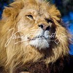 James Abernethy - @james_abernethy - Instagram