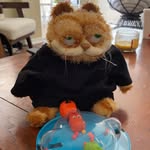 garfield - @jamesabramgarfieldthethird - Instagram