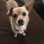 James Abramski - @abramskij - Instagram