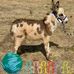 James Acres Farm - Facebook