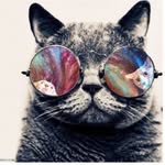 Sol - @james_adames_11 - Instagram