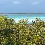 James Adderley - @jamescatisland - Instagram