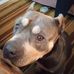 James Adderley - Facebook