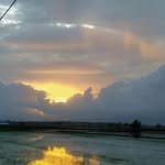james agatep jr - @jamesagatepjr - Instagram
