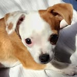 james agnew - @james.agnew2009 - Instagram