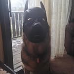James A.Gordon - @jamesa.gordon - Instagram