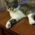 Jimmy Agostinelli - Facebook