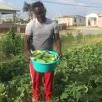 Trixton246 - @james_agro_products - Instagram
