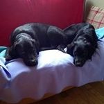 James Aherne - @jimaherne1 - Instagram