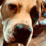James - @james_ahlgren343434 - Instagram