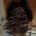 James Ailes - Facebook