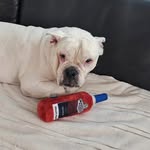 James Ake - @fakeake269 - Instagram