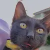 james’ake - @james.ake - TikTok